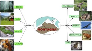 Geografia Maestra Silvia Papaleo